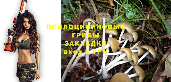 apvp Абаза