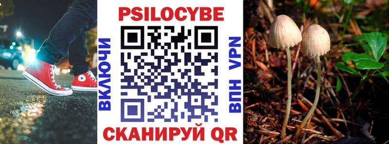 Галлюциногенные грибы Cubensis  Россошь 