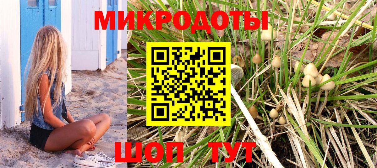 Россошь  купить наркотики цена  Псилоцибиновые грибы Magic Shrooms  Вход с VPN  Галлюциногенные грибы мицелий 